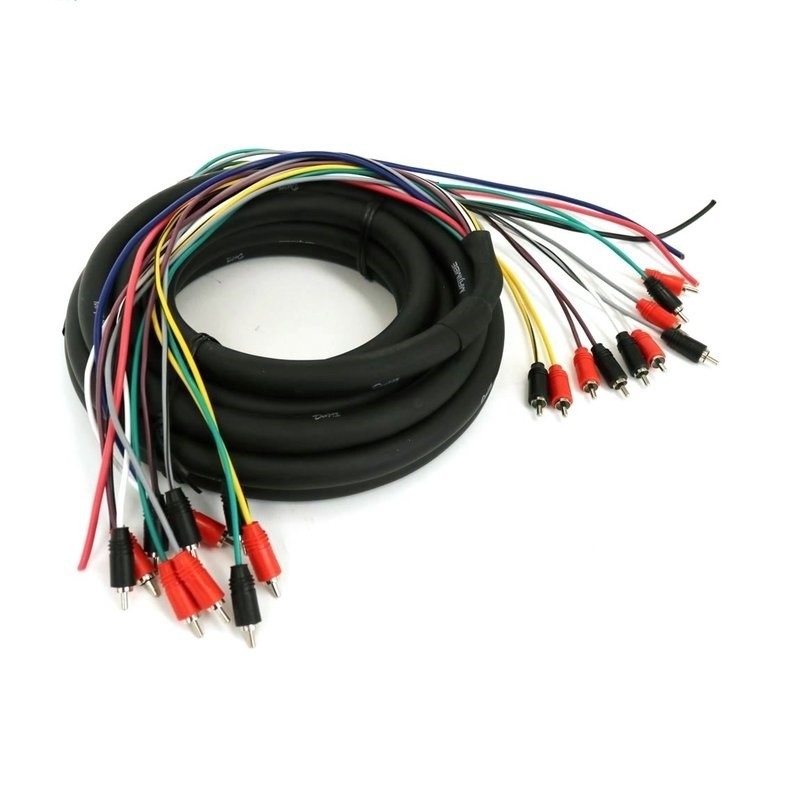 100% Copper Multi Channel Audio 10 RCA Power Medusa Cable per professionisti